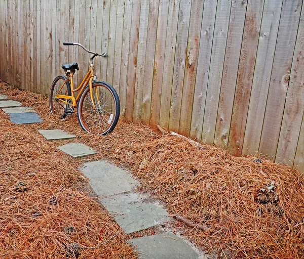 Bisiklet ve çam iğneleri