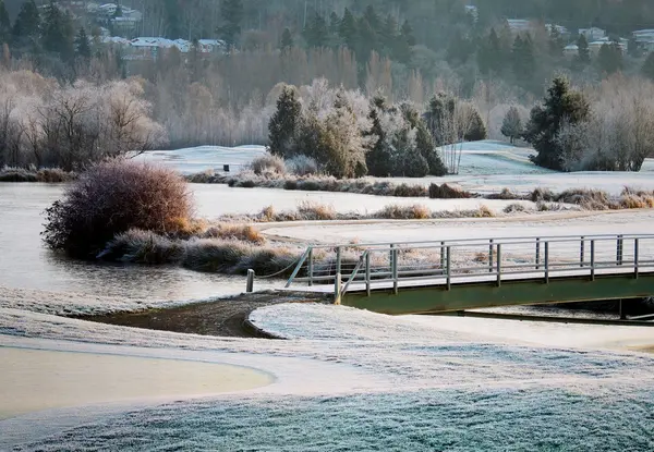 Frosty Morning Golf Sahası