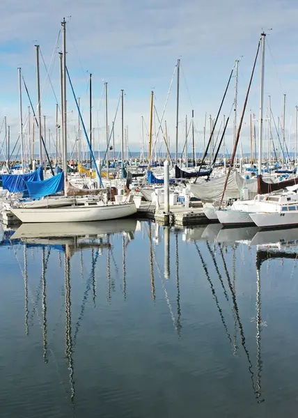Teknelerden ve direkler