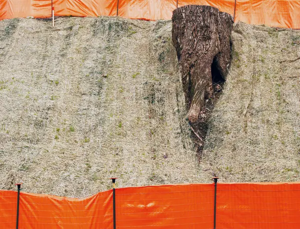 Turuncu bölücüler ile güdük.