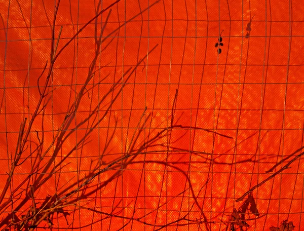 Direkt güneş parlak turuncu çit