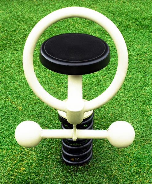 Bahar binici siyah beyaz