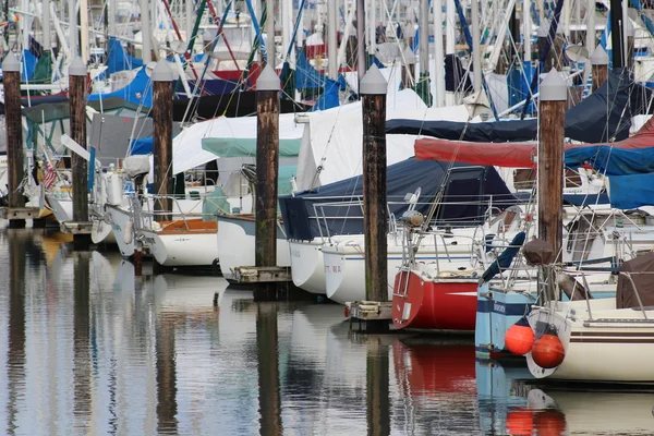 Marina yelkenlileri ve kazıklara.