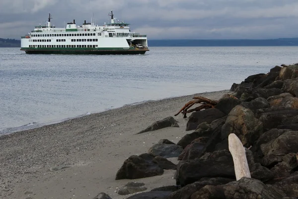Dalgaların karaya attığı odun yılan kafa ve örümcek gibi şeklinde geçen feribot.