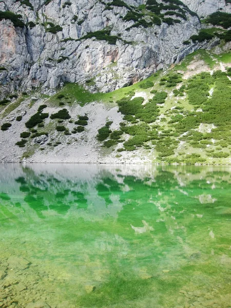 물에 산의 반영 — 스톡 사진