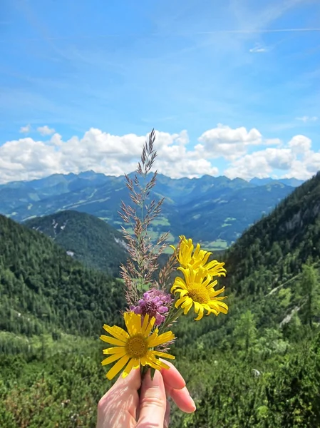 Csokor virággal, a háttérben a hegyek — Stock Fotó