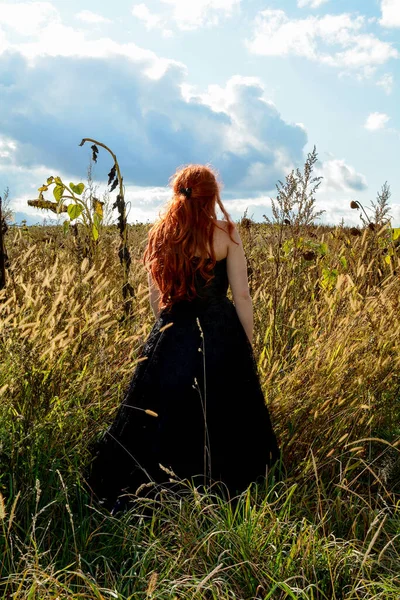 Fiatal Lány Hátulról Hosszú Vörös Hajjal Magas Fűvel Száraz Napraforgóval — Stock Fotó