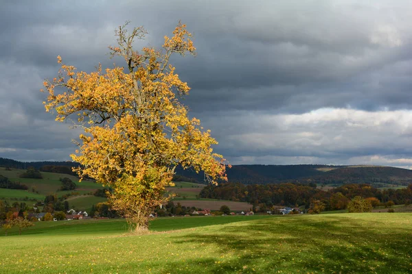 Herbstliche Landschaft Mit Einem Baum Und Einem Kleinen Dorf Und — Stockfoto