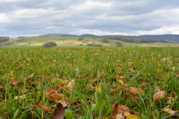 Hojas Coloridas Otoño Prado Con Paisaje Fondo — Foto de Stock