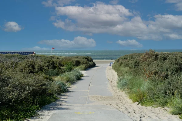 Sendero Entre Las Dunas Playa Con Mar Cielo Azul — Foto de Stock