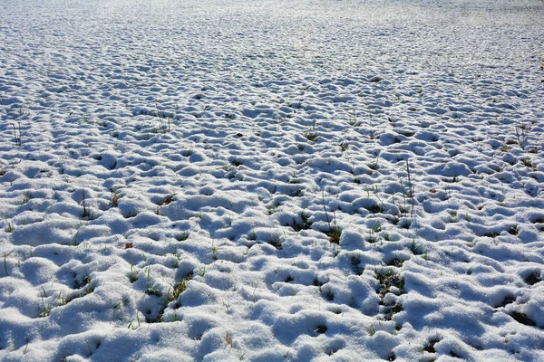 白い雪と草のいくつかの緑のブレードがたくさんあるフィールド — ストック写真