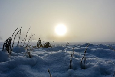 Güneş doğarken bir kar tarlası ve bazı bitkiler, fotokopi alanı ile.