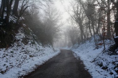 Kışın yalnız bir yol, karlı ağaçların arasında.