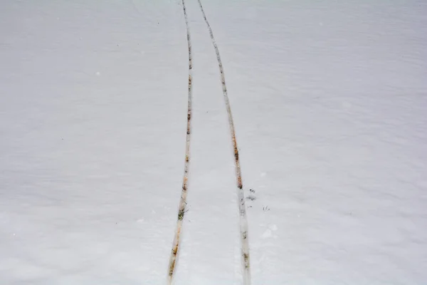 Traces Traîneau Dans Neige Blanche Avec Espace Copie — Photo