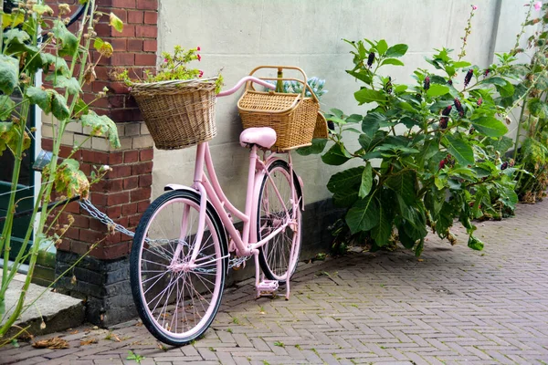 Typically Holland Pink Bicycle Baskets Flowers Wine Leaning Wall Decoration — Stock Photo, Image