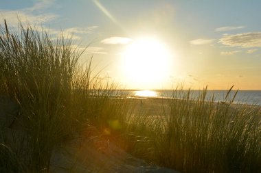 Kuzey Denizi 'nde kumullar ve kumullar akşam güneşli.