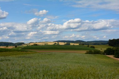 Yazın Bavyera, Almanya 'da bir arazide tarlalar ve ormanlar