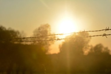 Bulanık dikenli tel örgü silueti turuncu gün batımında, arka plan olarak güneş