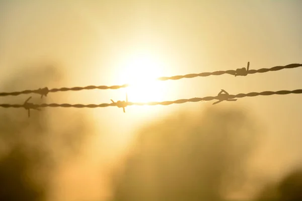 Blurred barbed wire fence silhouette at orange sunset, with sun as a background
