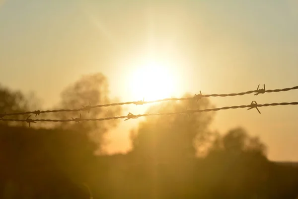 Blurred barbed wire fence silhouette at orange sunset, with sun as a background