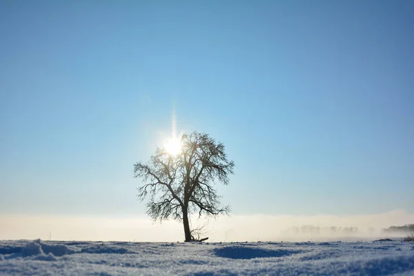 Paesaggio Innevato All Alba Alle Spalle Una Fredda Giornata Invernale — Foto Stock