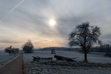Toprak, sokak, avcı koltuğu, soğuk kış manzarasında ağaçlar ve yakacak odunlarla kaplı araziler.