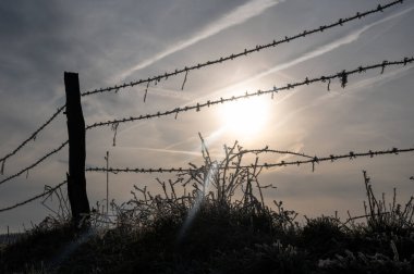 Çayırda dikenli tel örgü, soğuk bir kış sabahında yerde don, güneşli.