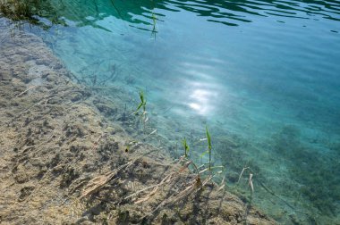 Yerin dibine kadar uzanan temiz su manzaralı arkaplan resmi