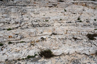 Yeşil bitkilerle dolu Doğadaki Kaya katmanları