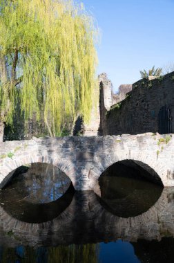 Ağaç ve suda yansımaları olan eski kemerli taş köprü.