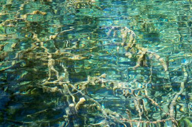 Yerin dibine kadar uzanan temiz su manzaralı arkaplan resmi