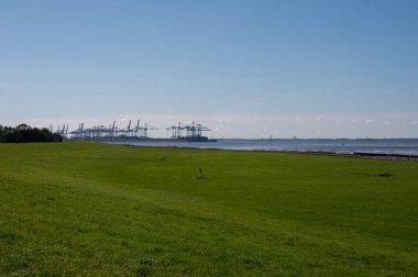 Bremerhaven, Almanya 'dan vinçlerin görüntüsü. Ön planda otlar ve Kuzey Denizi kıyısında.