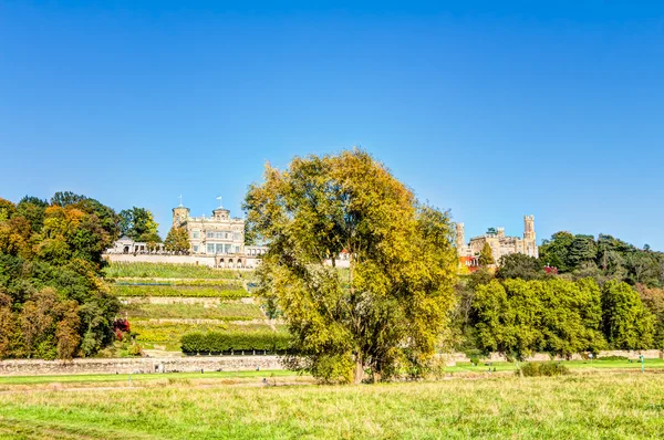 Elbe Nehri ve Vadisi Dresden