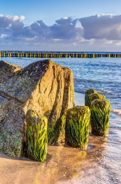 Ahşap ve kayalık groynes