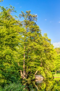 Aschaffenburg 'daki Schontal Park