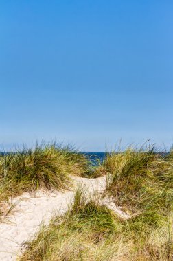 Plaj ve dunes yaz aylarında beachgrass ile