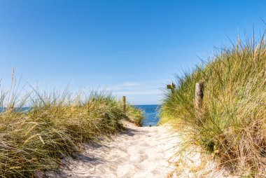 Plaj ve dunes yaz aylarında beachgrass ile