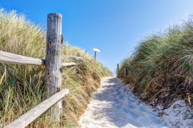 Plaj ve dunes yaz aylarında beachgrass ile