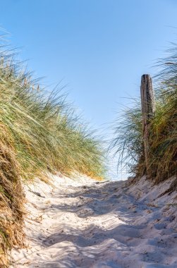 Plaj ve dunes yaz aylarında beachgrass ile
