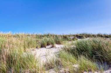 Plaj ve dunes yaz aylarında beachgrass ile