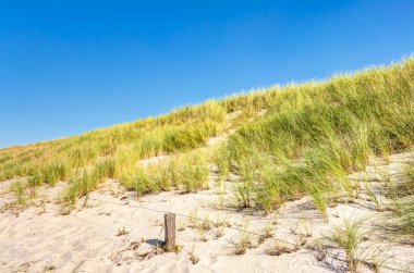 Plaj ve dunes yaz aylarında beachgrass ile