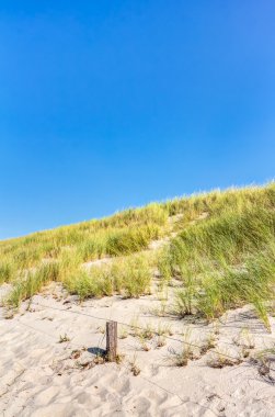 Plaj ve dunes yaz aylarında beachgrass ile