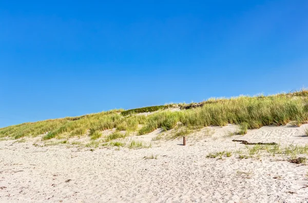 Praia e dunas com grama de praia no verão — Fotografia de Stock