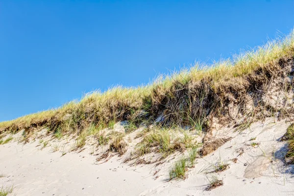 Praia e dunas com beachgrass — Fotografia de Stock