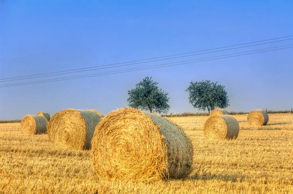 Συγκομιδή haye μπάλες — Φωτογραφία Αρχείου