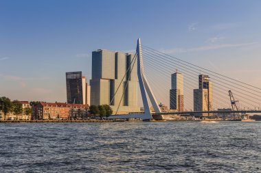 Rotterdeam modern mimarinin