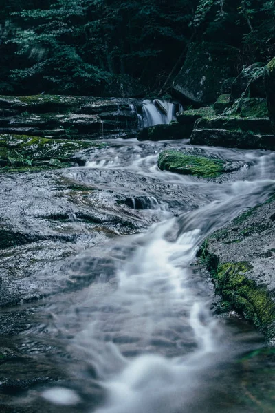 Pequeño Río Bosque Oscuro Está Buscando Camino Través Una Roca —  Fotos de Stock