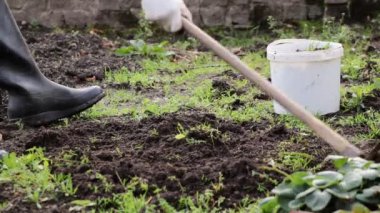 Bahçedeki yabani otların temizlenmesi ve yeni bitkilerin ekilmesi için toprak hazırlanması. Sonbahar zorunlu işi. Bir köylünün zor hayatı. Video çekimi Full HD 60 fps.