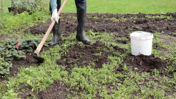Bahçedeki Yabani Otların Temizlenmesi Yeni Bitkilerin Ekilmesi Için Toprak Hazırlanması — Stok video