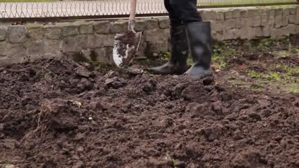 Ogrodnik Uprawiał Ziemię Przygotował Rowek Doniczce Dla Warstwy Nawozu Naturalnego — Wideo stockowe